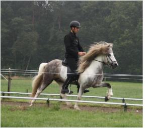 Bjartur keuring 2010