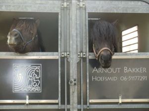 Hannibal & Ralli in trailer